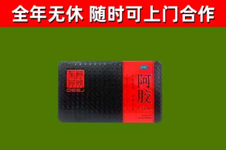 岑巩县回收阿胶